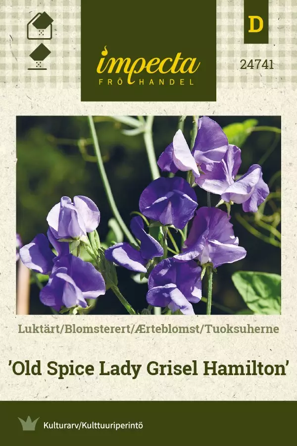 TUOKSUHERNE OLD SPICE LADY GRISEL HAMILT - Muut kesäkukkien siemenet - 7332756247419 - 1