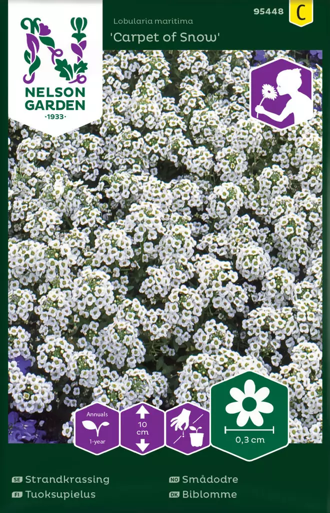 TUOKSUPIELUS CARPET OF SNOW - Muut kesäkukkien siemenet - 7312600954489 - 1